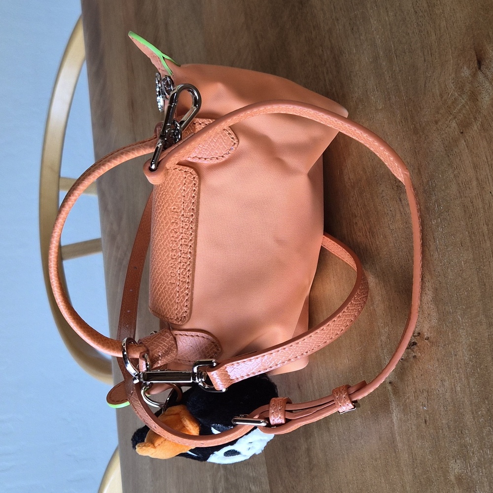 Longchamp Orange Pouch W Handles, Includes Strap & Jelly Cat Charm!!! - Picture 3 of 7